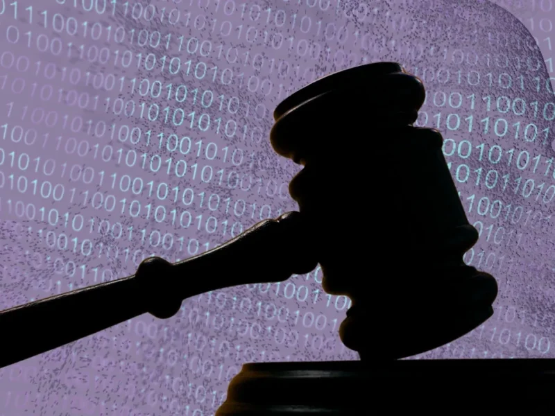 Hsin-Ju Chuang died two days before her promised Hack VC evidence drop