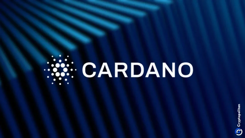 Cardano Foundation urges EU to fix MiCA, not expand it to DeFi